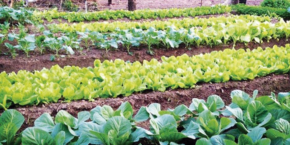 118649204_3179714785431398_7161463591779237689_n