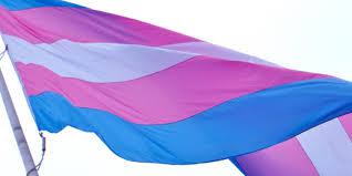 bandera-trans