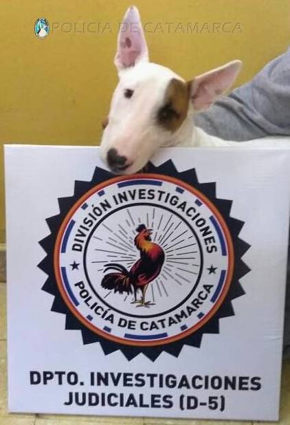 Sec. Investigaciones
