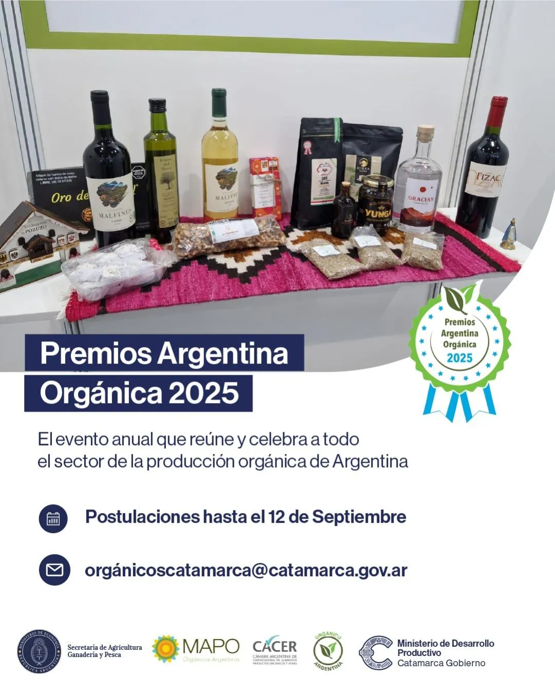 imagen_2025-09-08_171307494