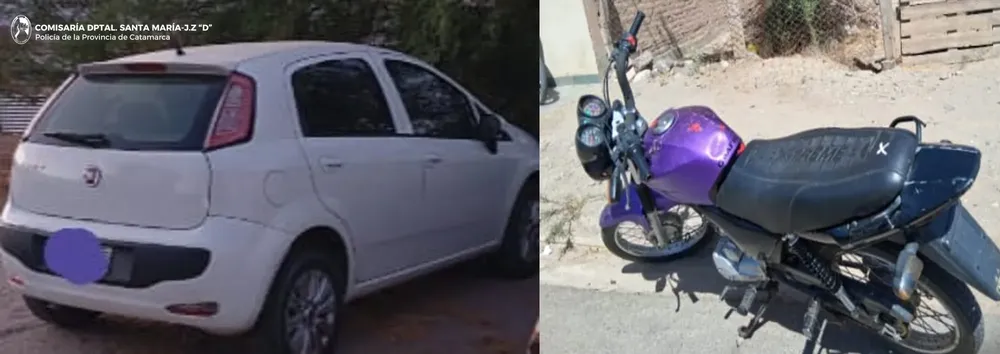 Cria_ Dptal_ Santa María