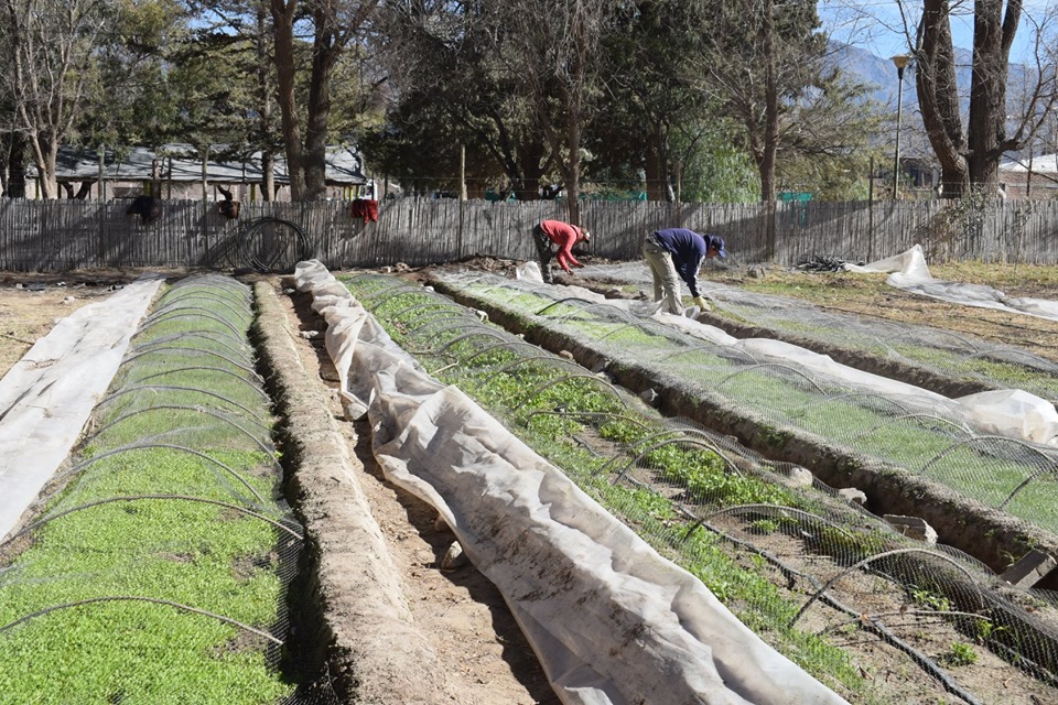 66514896_2306724232927970_8726667581697556480_n