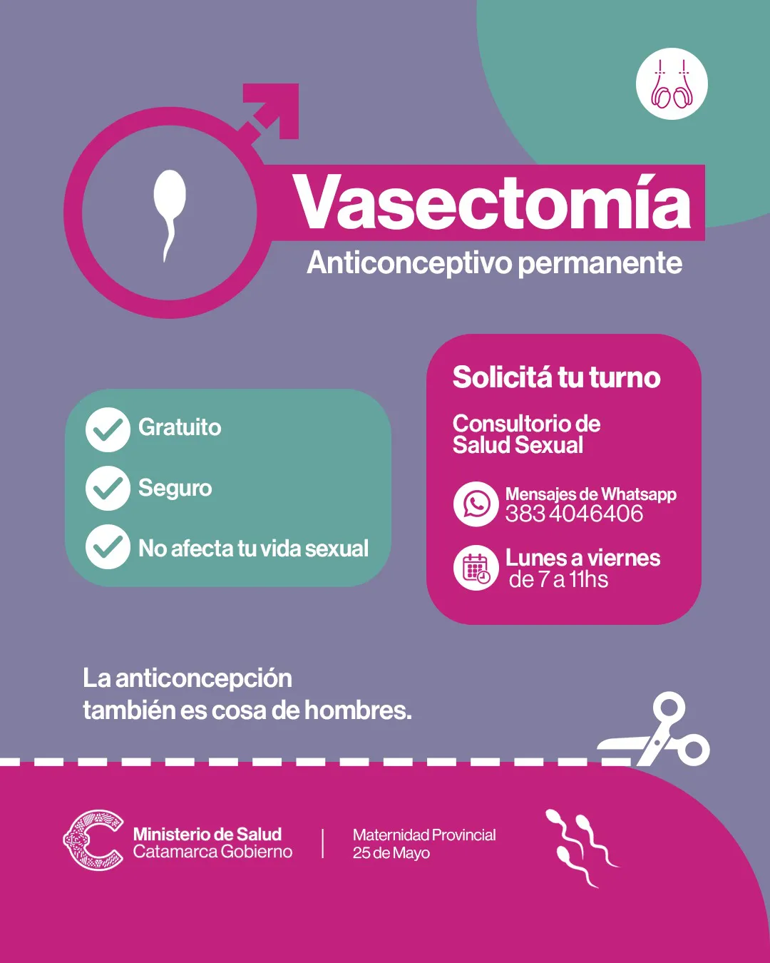 Vasectomia