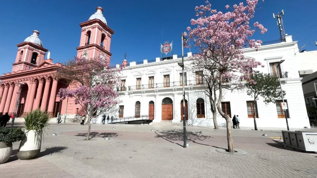 imagen_2025-09-10_111026441