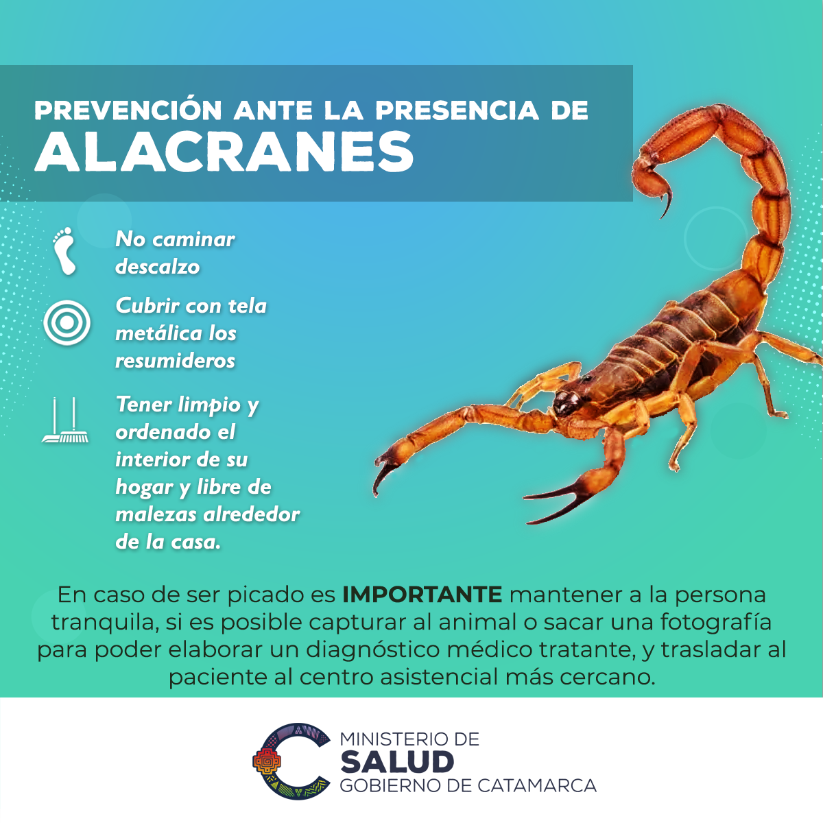 Alacranes