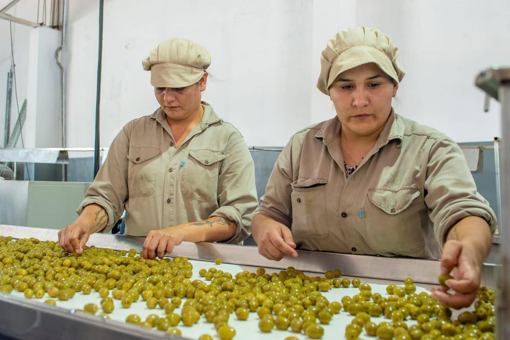 Empresa amplía su producción y genera más trabajo 2