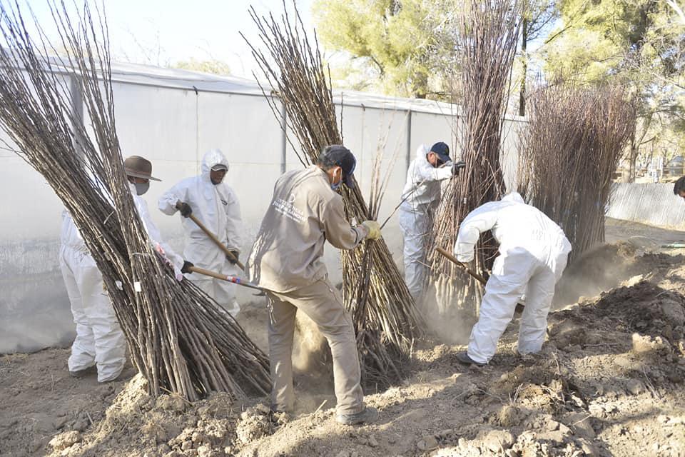 117879331_2633593790241011_6101654765647759241_n