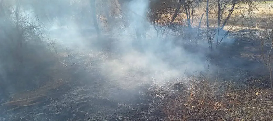 FB_IMG_1758592224156