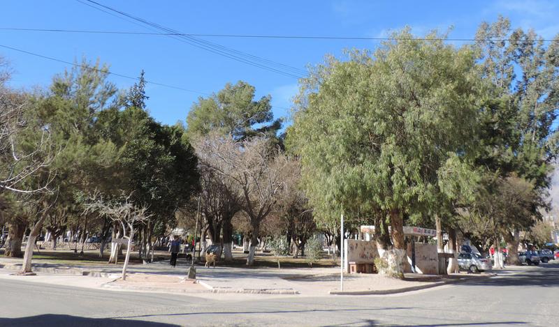 plaza-amaicha-valle-calchaqui