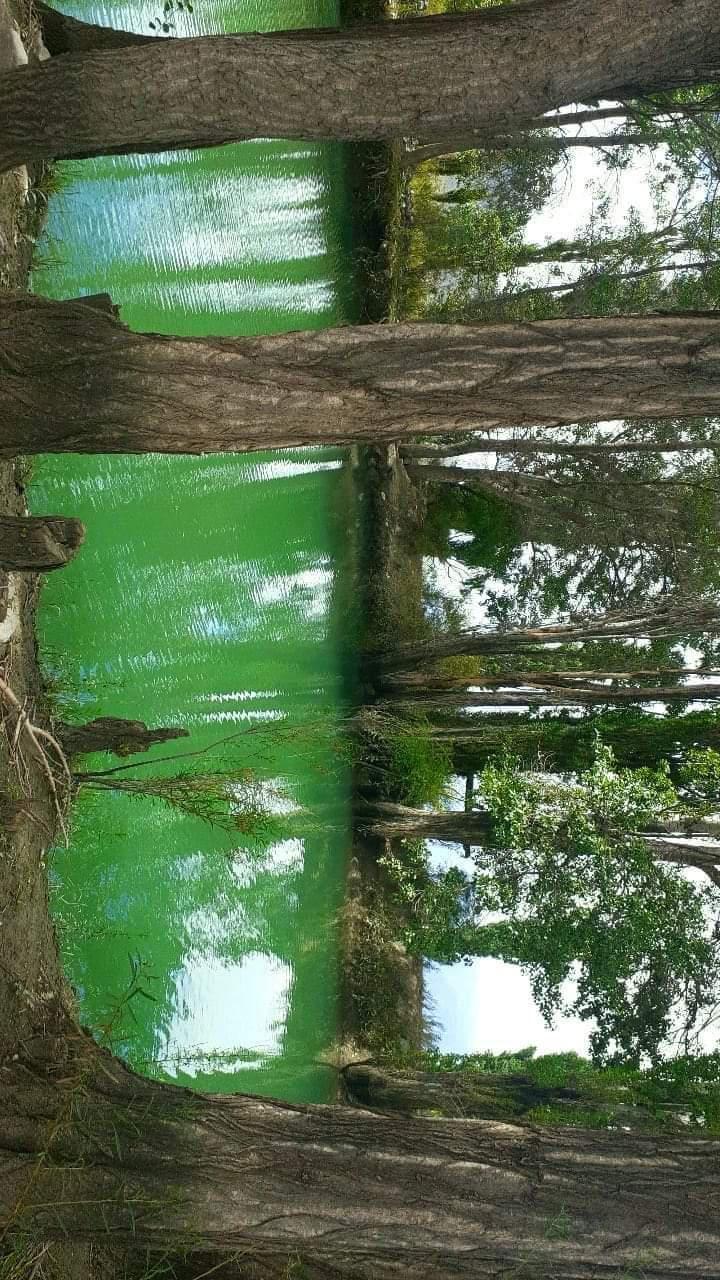 FB_IMG_1646427649849