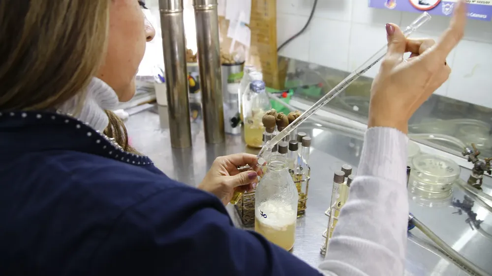 investigacion salud publica