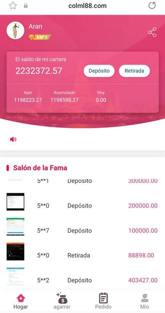 División Ciberdelitos (2)