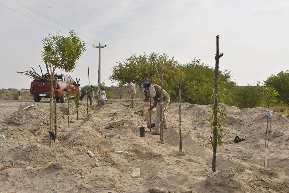 122143214_2692970627636660_1796468438103296147_n