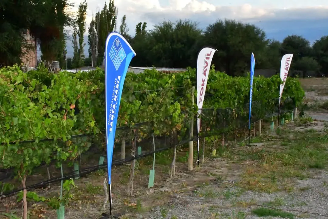 FB_IMG_1742867614570