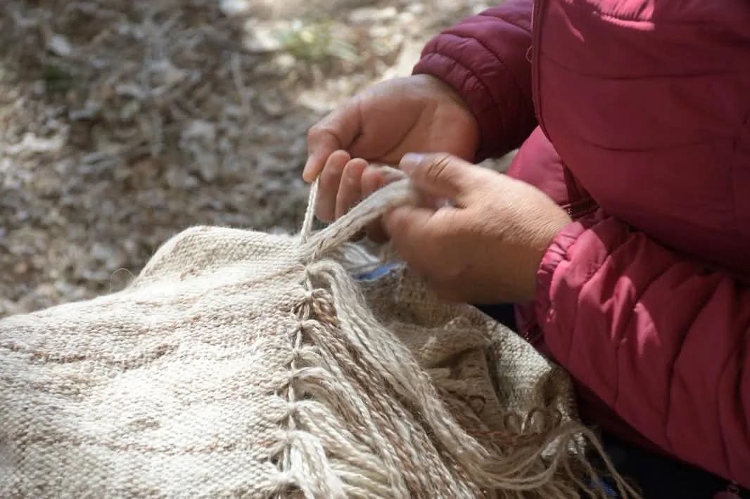 FB_IMG_1759531495800