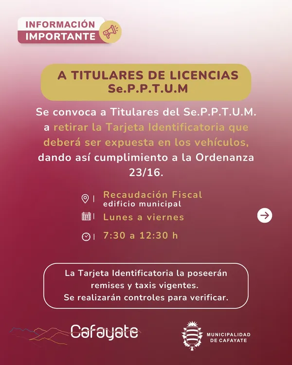 imagen_2025-09-04_185353582