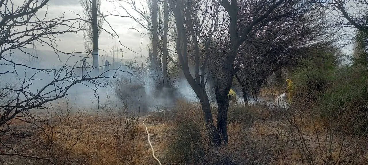 FB_IMG_1758592229156