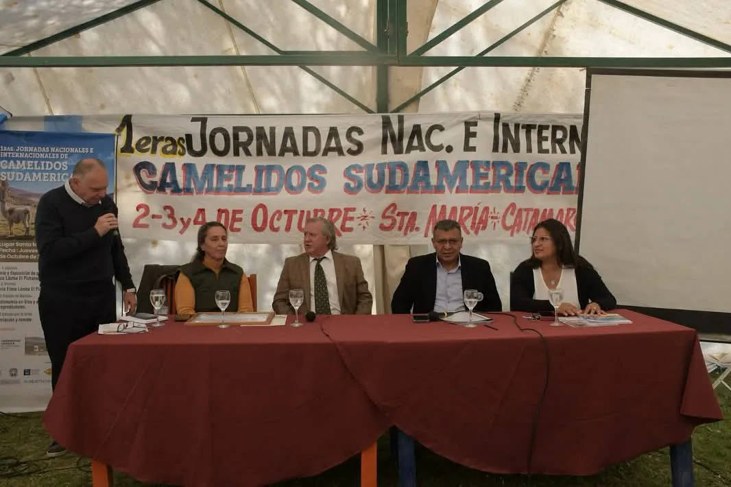 FB_IMG_1759531499928