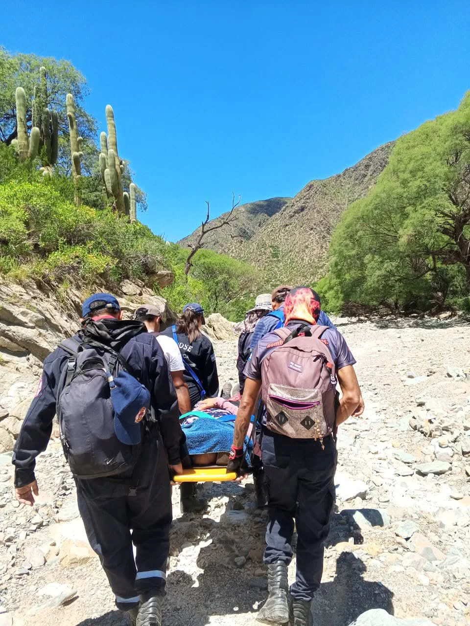 FB_IMG_1771280477938