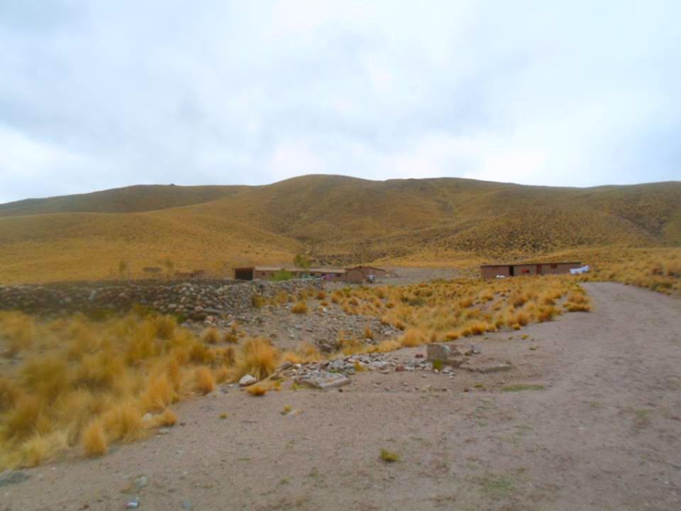 Ovejería