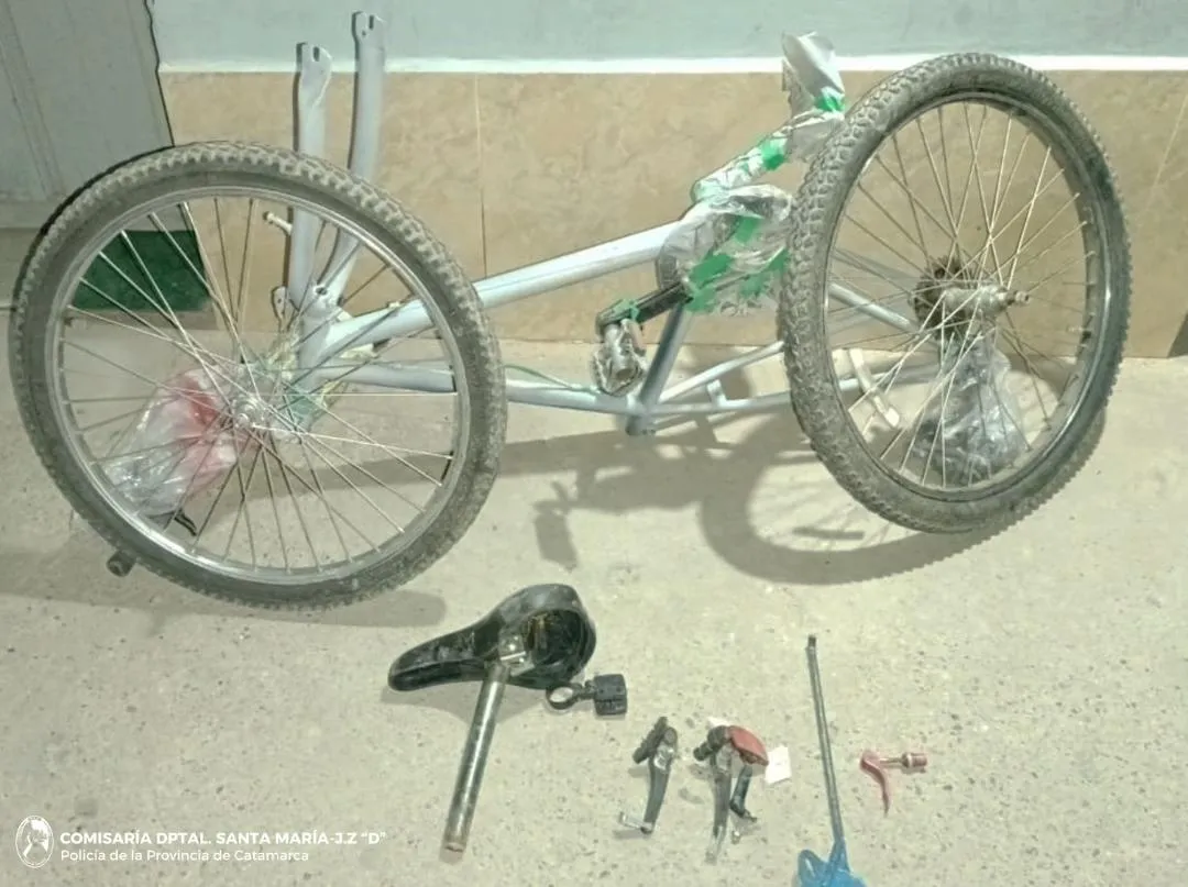 imagen_2025-05-06_155945607