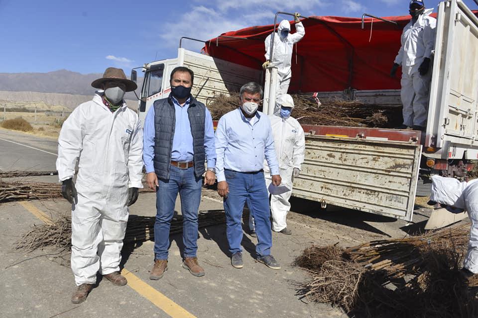 117787951_2633593480241042_2597373799103514756_n