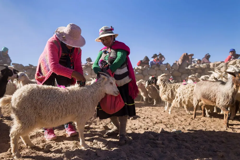 WhatsApp Image 2026-03-30 at 4.08.04 PM