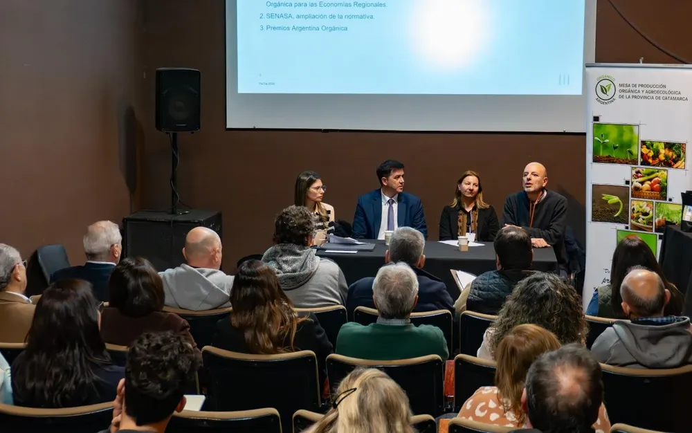 imagen_2025-07-24_201130994