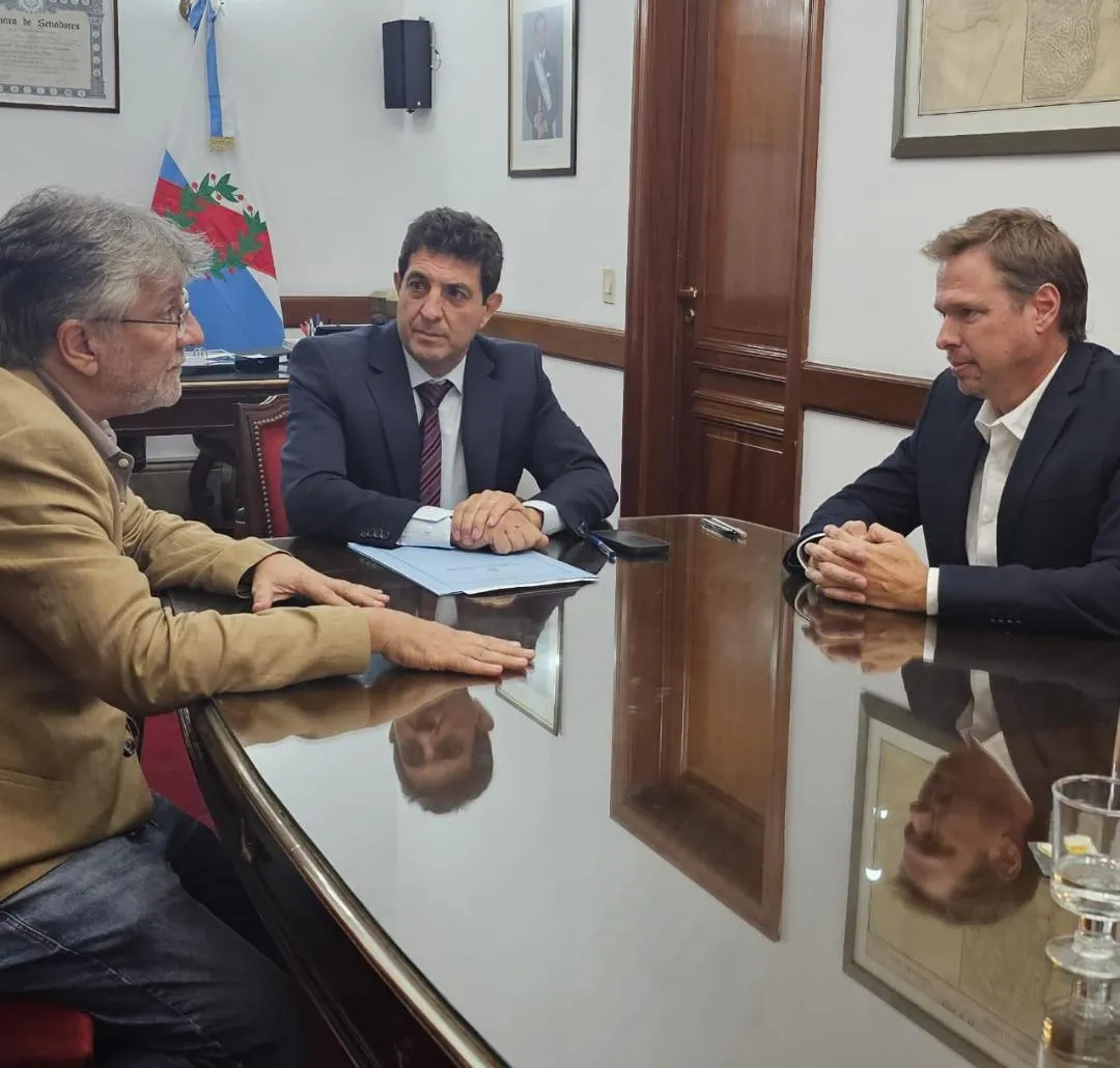 imagen_2025-03-19_142701696