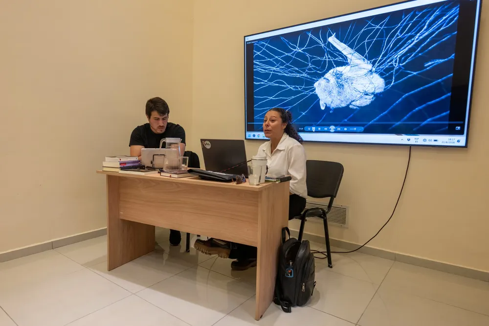 ciencia y literatura murciélagos (6)