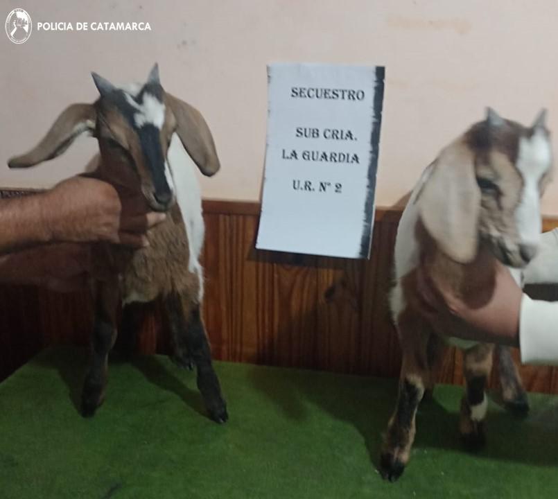 Procedimiento Sucria. La Guardia (1)
