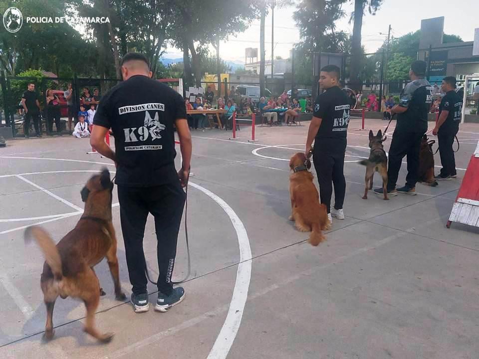 Actividad solidaria (3)