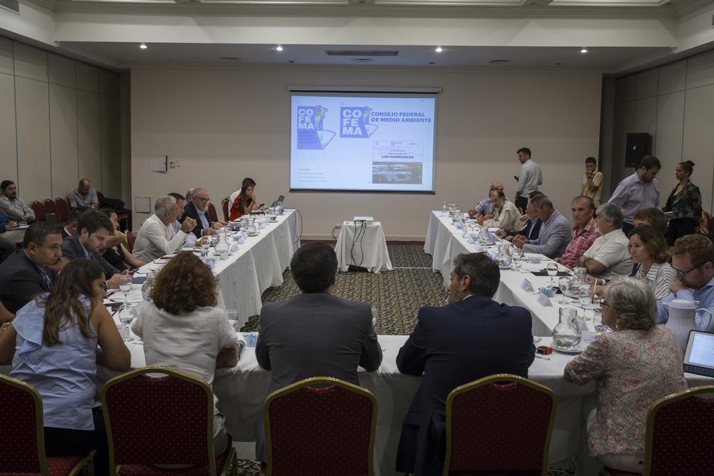 Verón presente en cofema 1
