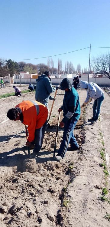 457282609_987260983425247_5860391050412873744_n