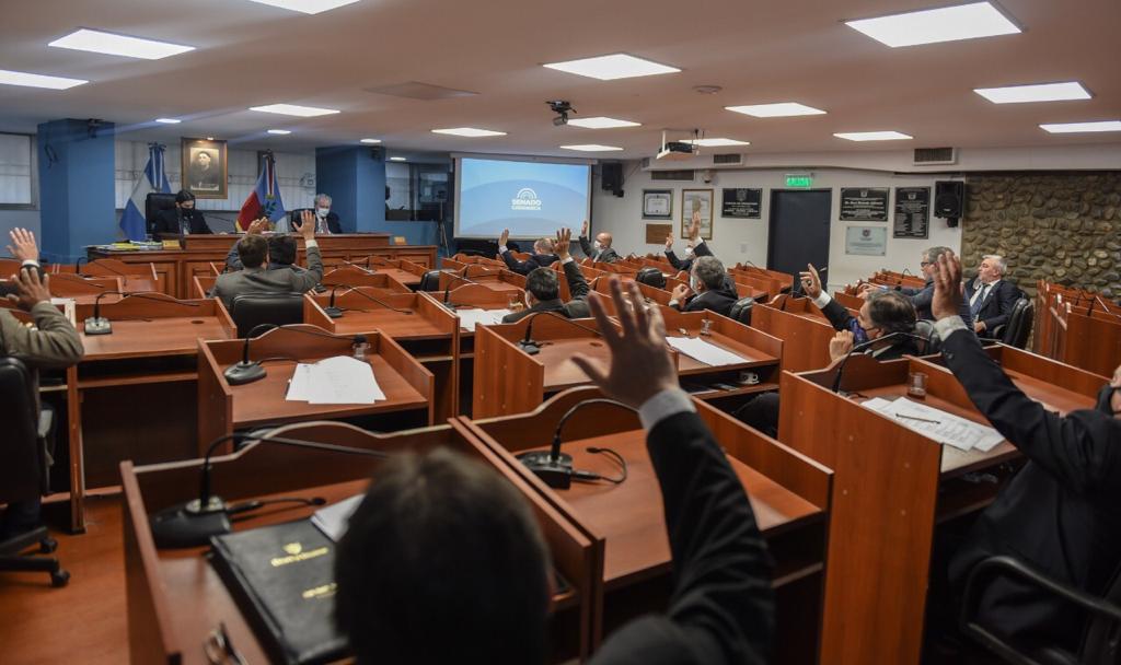 Senado