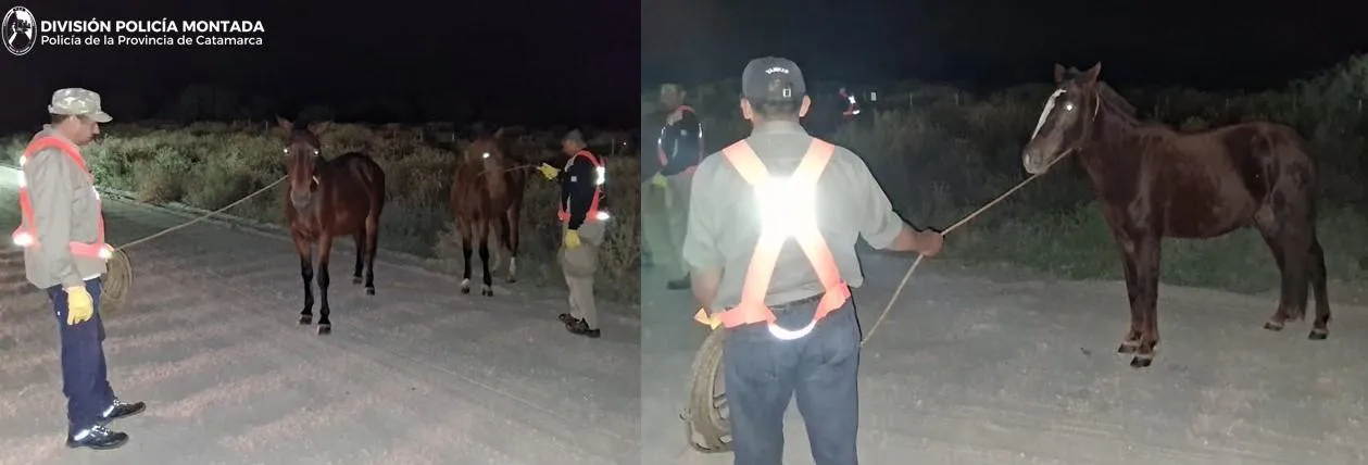 imagen_2025-05-16_164748598