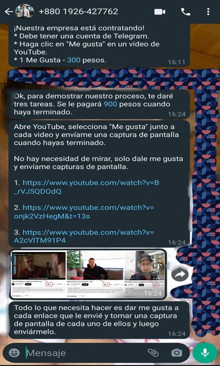 División Ciberdelitos (3)