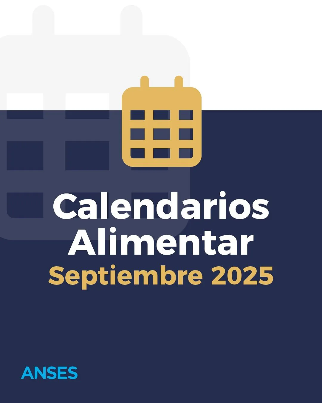 imagen_2025-09-08_223113148