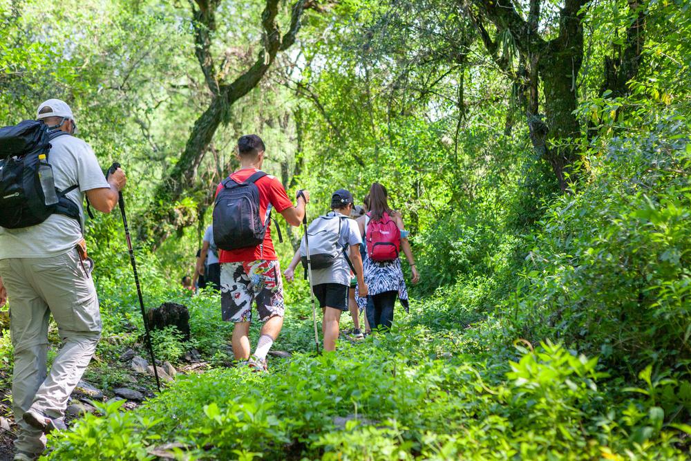 Bosque de Arrayanes_Capayan_verano_carocabreraph-8