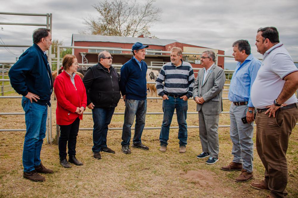 Entregaron toros para el fortalecimiento de la industria ganadera y producción láctea (1)