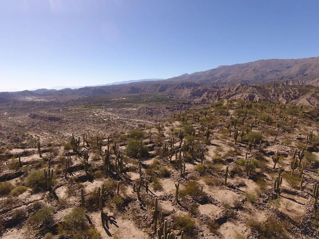 imagen_2025-04-30_212335023