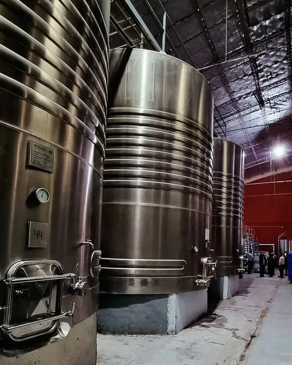 FB_IMG_1748276788773