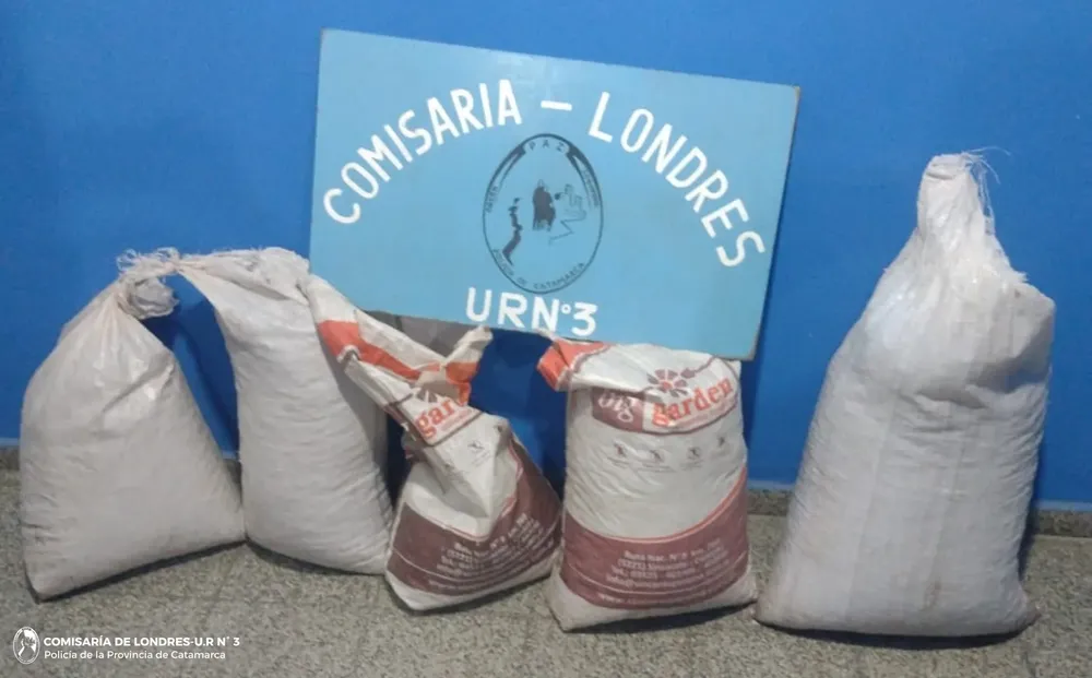Cría_ de Londres