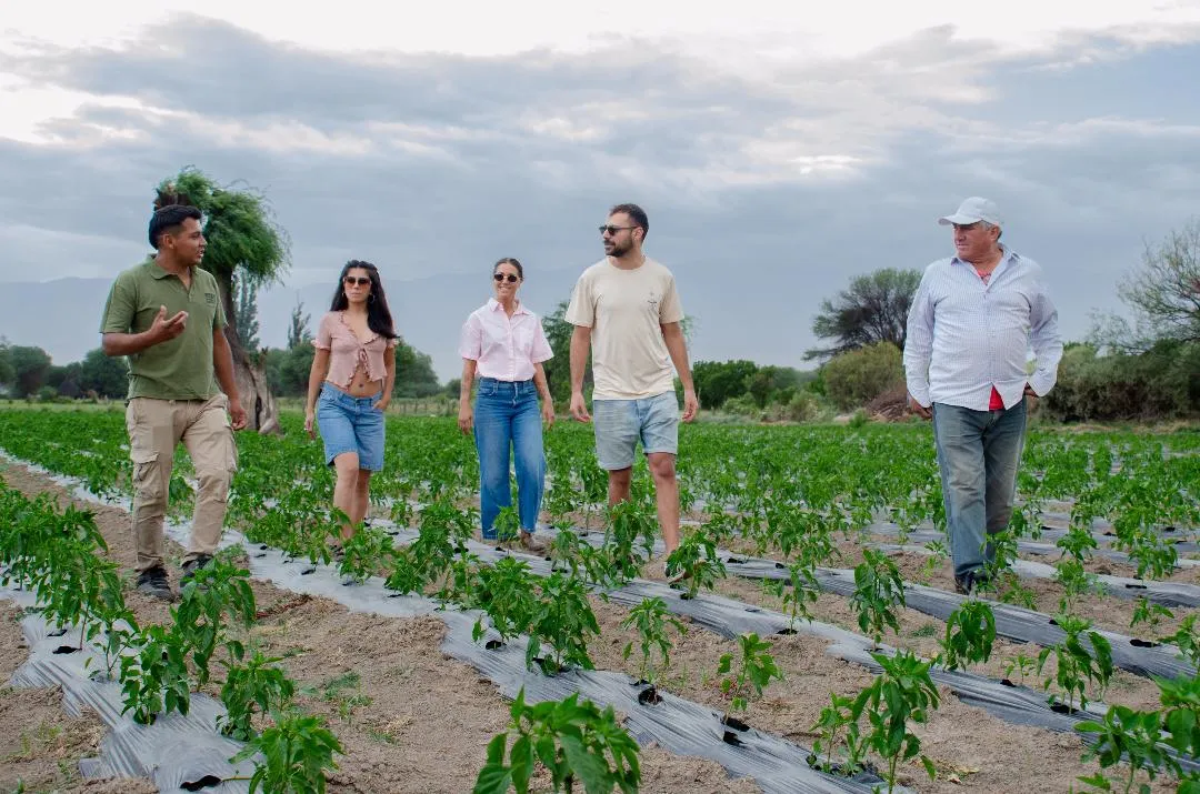 imagen_2025-07-22_102327103