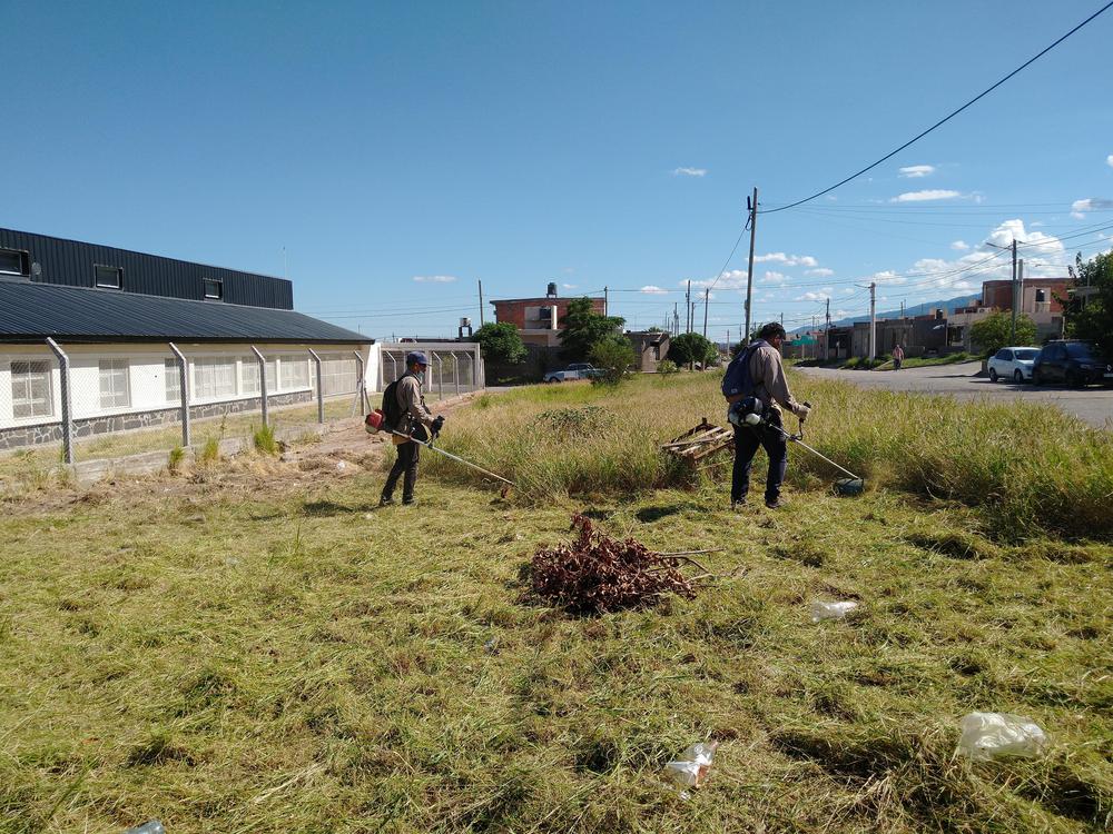 Operativo de limpieza y desmalezamiento en escuelas de la Capital1