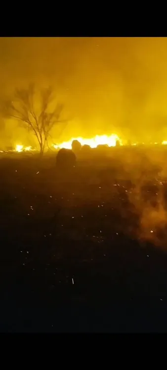 FB_IMG_1757672375061