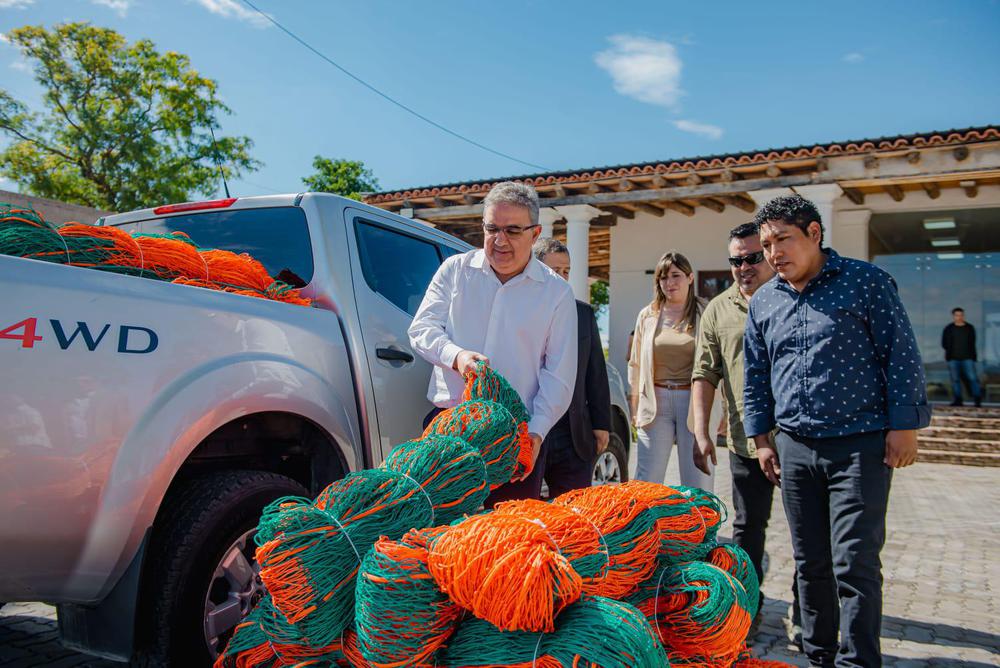 Promueven la preservación sustentable de la vicuña