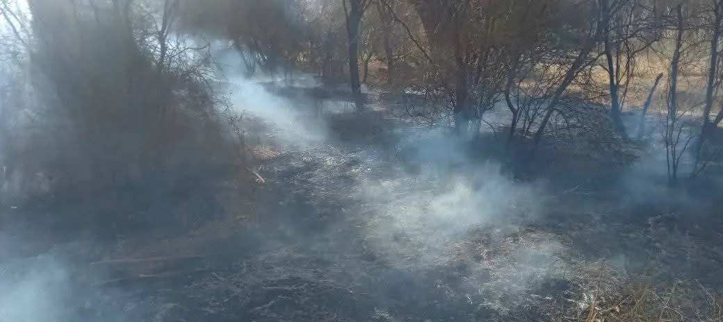 FB_IMG_1758592221181