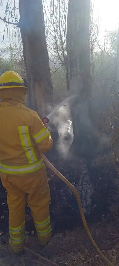 FB_IMG_1758592218236