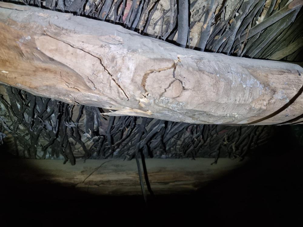 283246267_5073431146076519_7400141424811080774_n